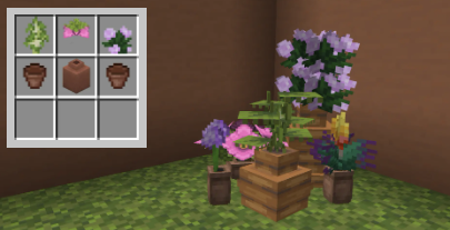 Image(s) indisponible