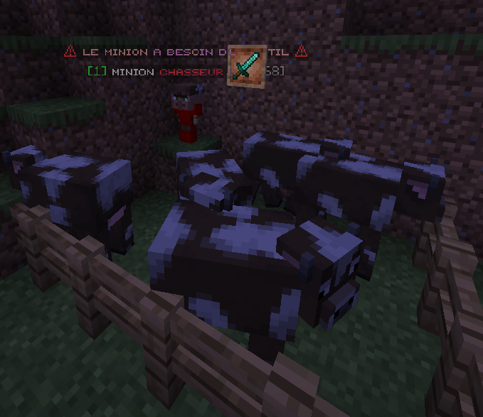 Image(s) indisponible